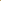 Gold Wildflowers