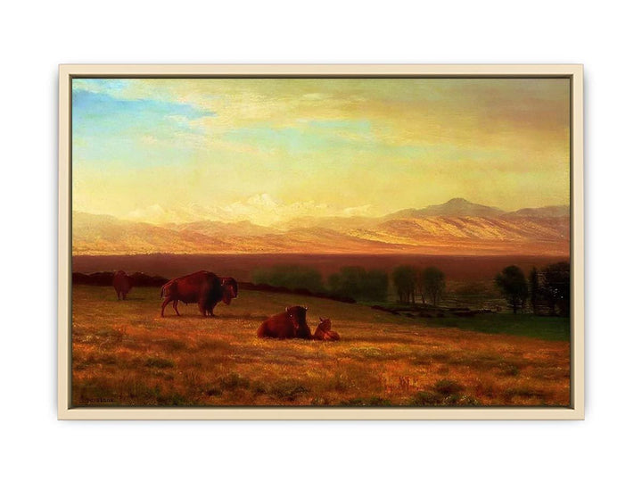 Buffalo on the Plains, c.1890  Art Print