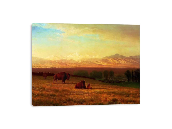 Buffalo on the Plains, c.1890  Painting