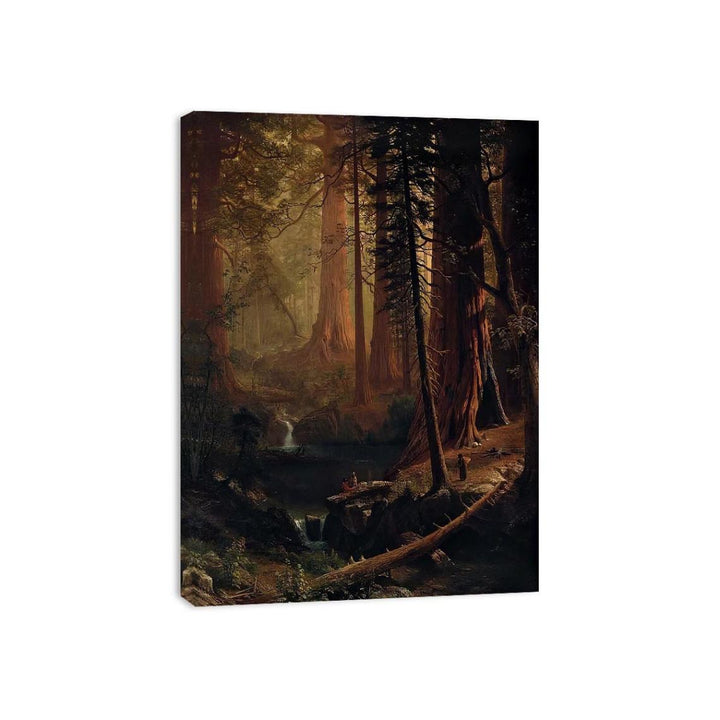Giant Redwood Trees of California  Painting