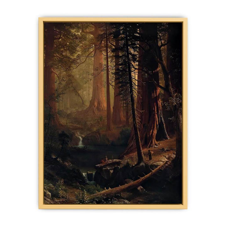 Giant Redwood Trees of California Streched canvas