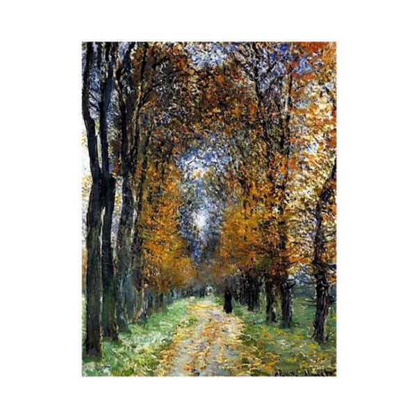 The Avenue