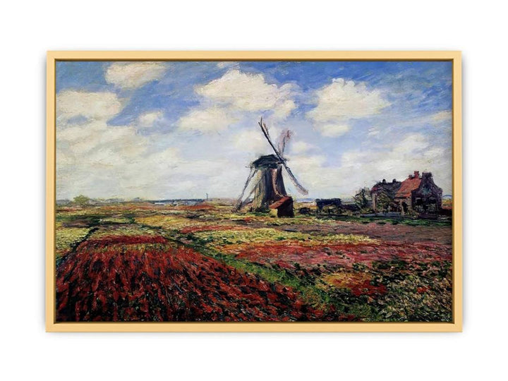 Field Of Tulips In Holland Streched canvas