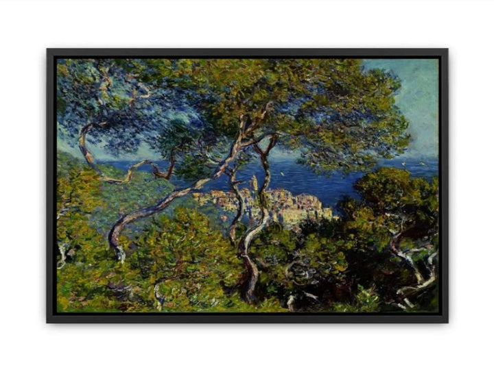 Bordighera 1 Canvas Print