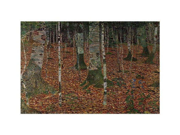 Birch Forest
