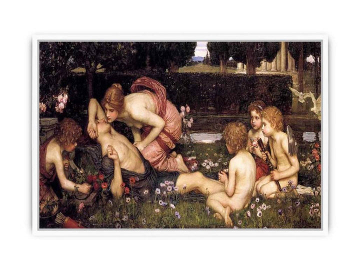 The Awakening of Adonis 1900 Framed Print