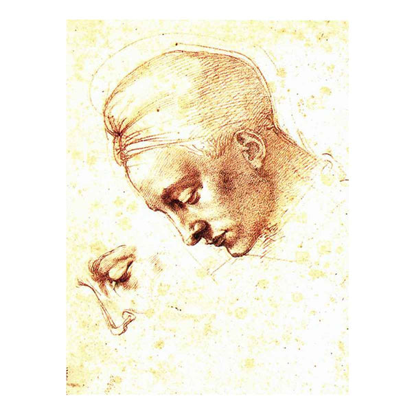 Study of a Head c. 1530
