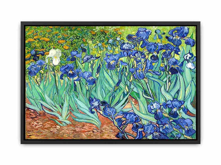 Irises By Van Gogh Painting Canvas Print