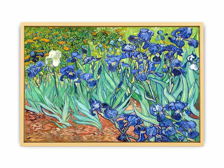 Irises By Van Gogh Painting Streched canvas
