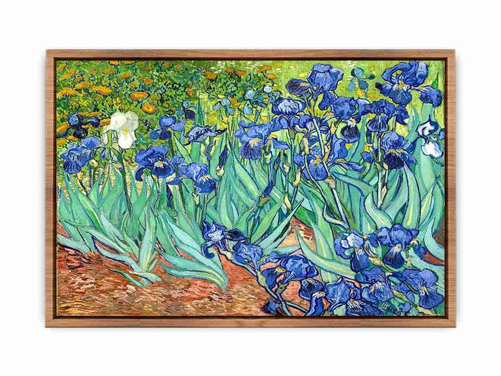 Irises By Van Gogh Painting  Poster