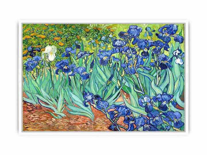 Irises By Van Gogh Painting Framed Print
