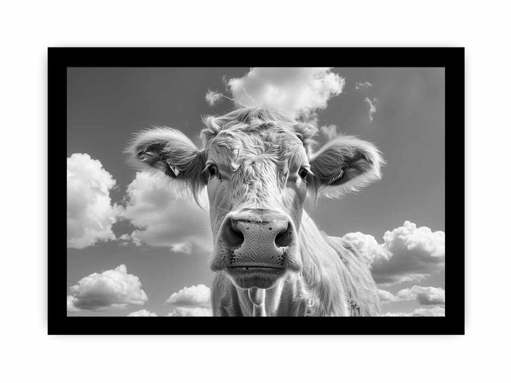 Highland cow Art framed Print