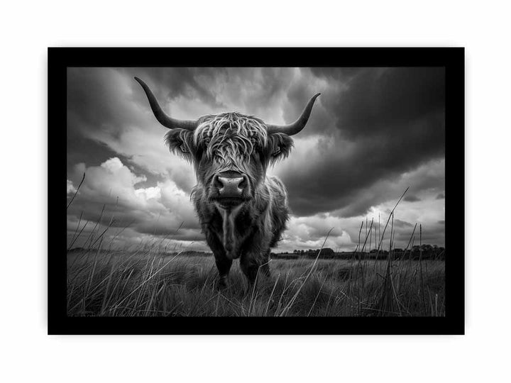 Highland cow print framed Print