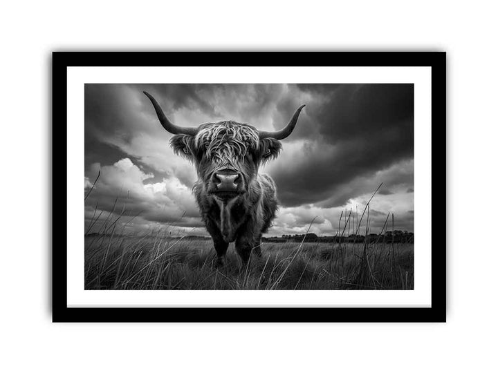 Highland cow print framed Print