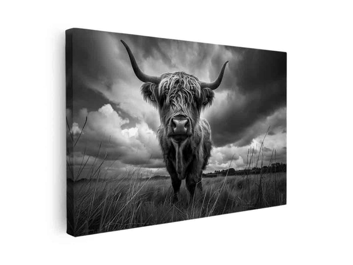 Highland cow print canvas Print