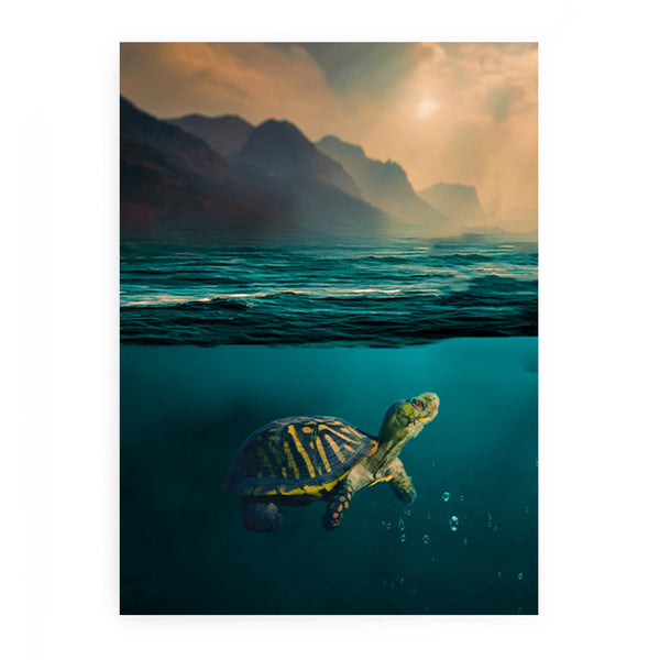 Turtle  Art Painting