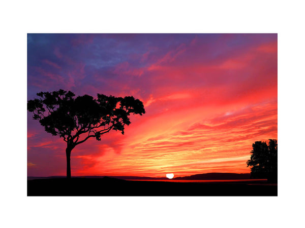 Tree and Sunset Painting