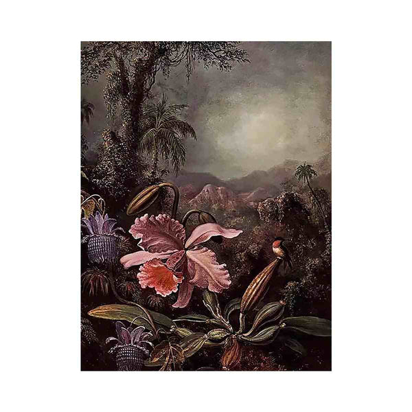 Orchids Passion Flowers And Hummingbird
