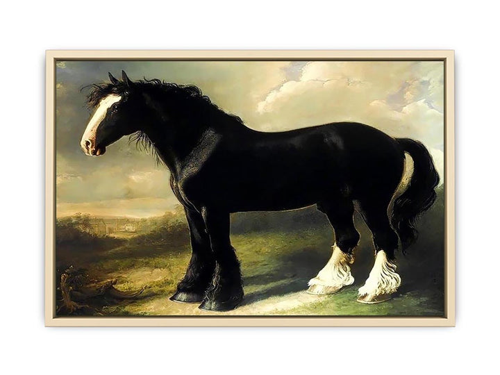 Old English Black Horse  Art Print