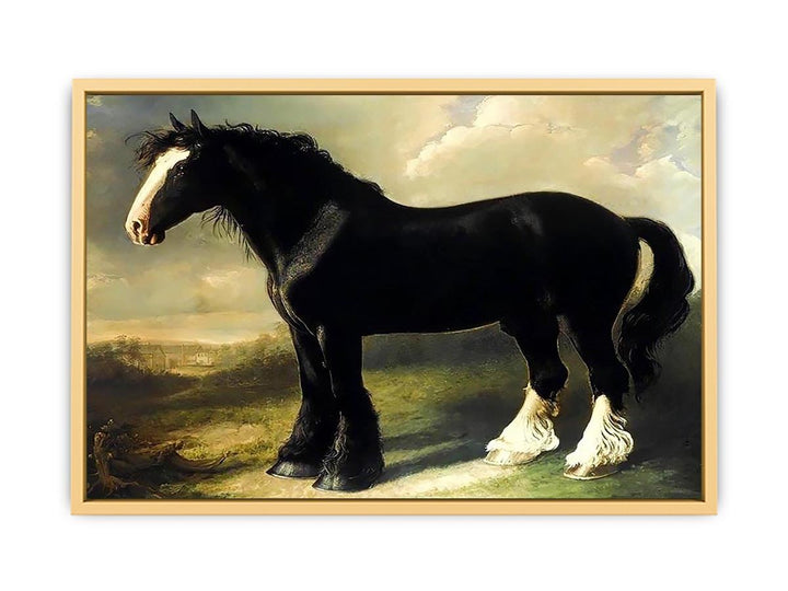 Old English Black Horse Streched canvas