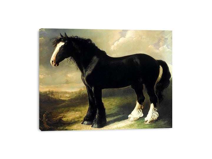 Old English Black Horse  Painting