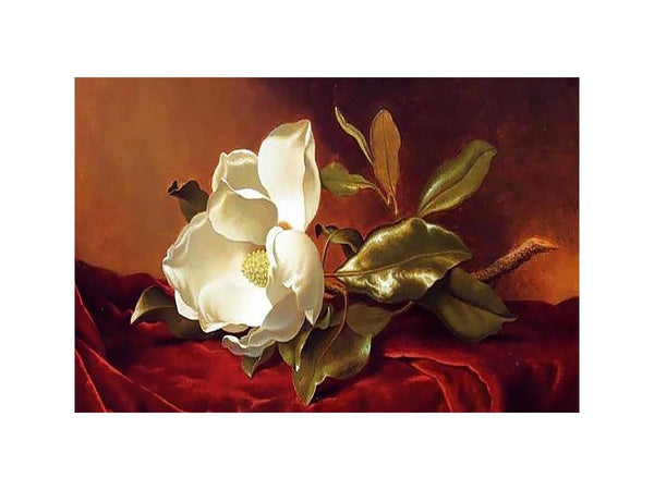 A Magnolia On Red Velvet
