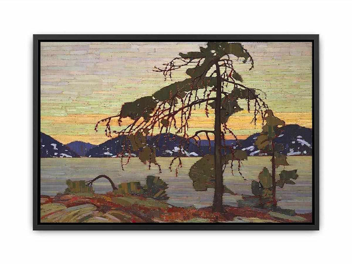 The Jack Pine Canvas Print