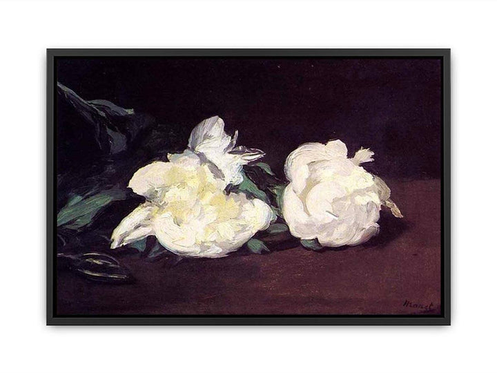 Branch of White Peonies and Secateurs Canvas Print