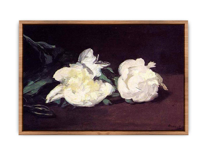 Branch of White Peonies and Secateurs  Poster