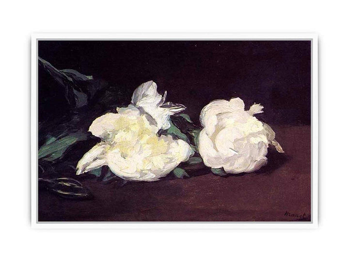 Branch of White Peonies and Secateurs Framed Print