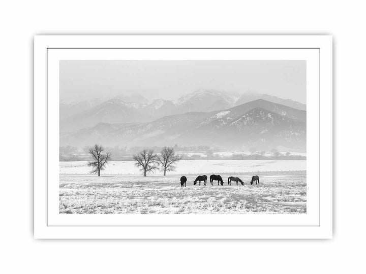 Open Filed Streched canvas