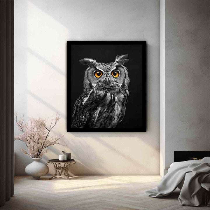 Owl 