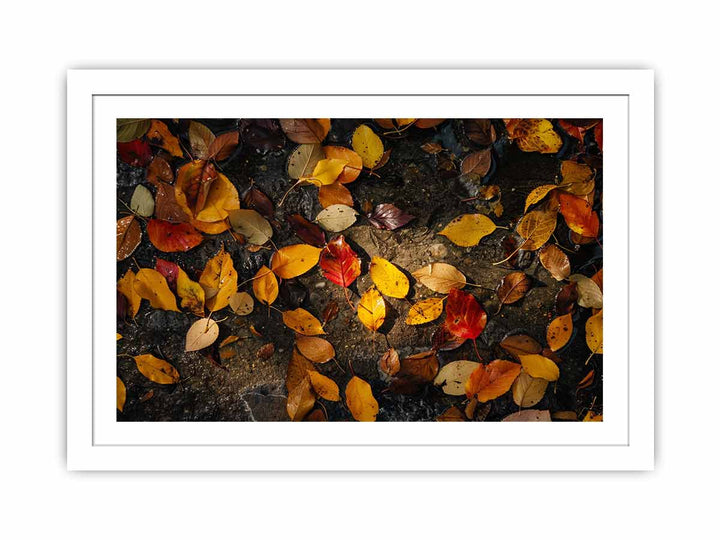 Autumn Leaves Streched canvas