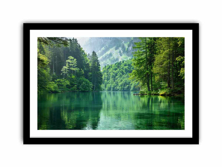 Forest Lake  Art Print