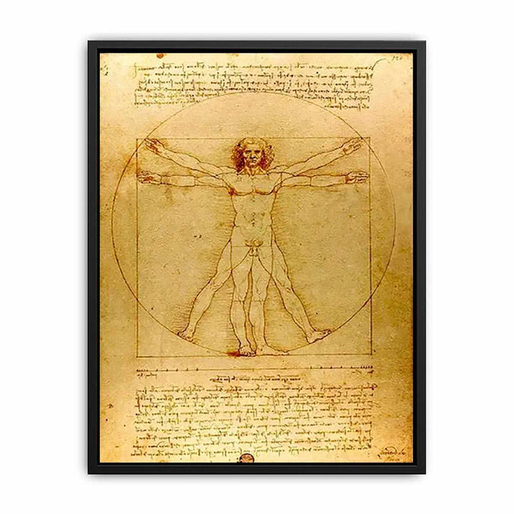 Vitruvian Man by Leonardo Da Vinci Canvas Print
