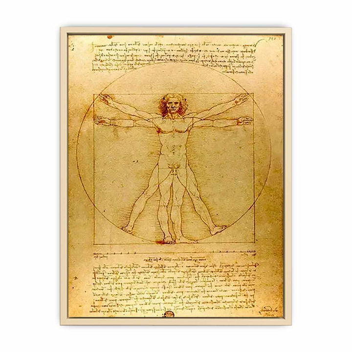 Vitruvian Man by Leonardo Da Vinci  Art Print