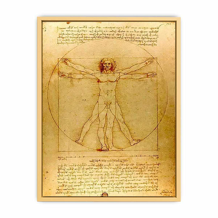 Vitruvian Man by Leonardo Da Vinci Streched canvas