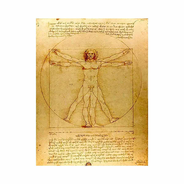 Vitruvian Man by Leonardo Da Vinci