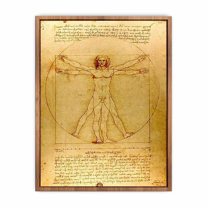 Vitruvian Man by Leonardo Da Vinci  Poster