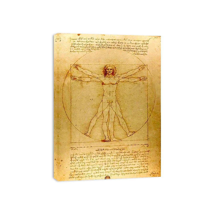 Vitruvian Man by Leonardo Da Vinci  Painting