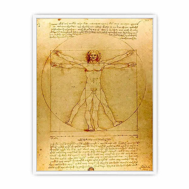 Vitruvian Man by Leonardo Da Vinci Framed Print