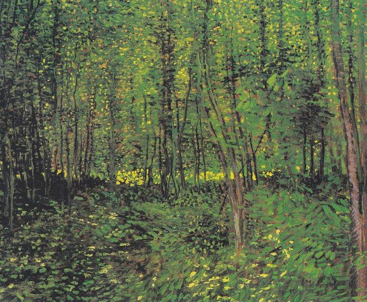 Trees And Undergrowth By Van Gogh