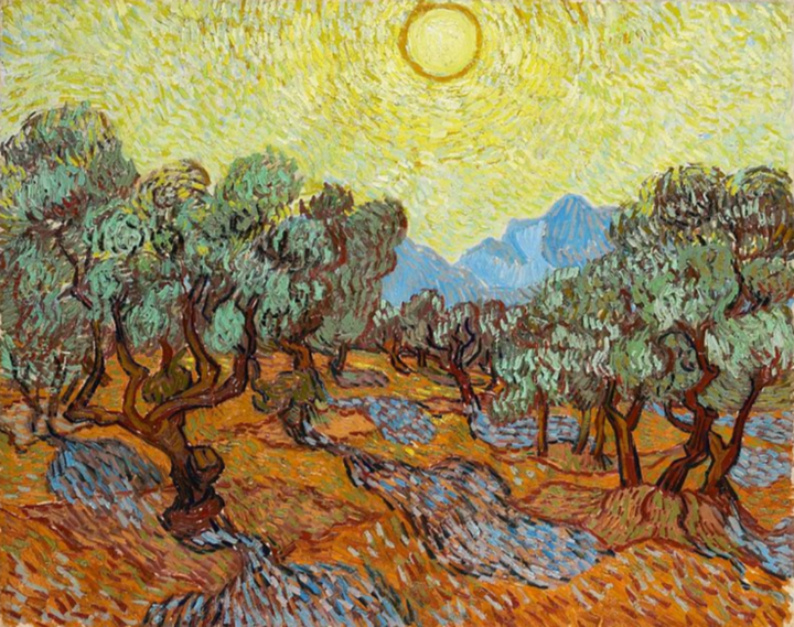 Olive Trees By Van Gogh