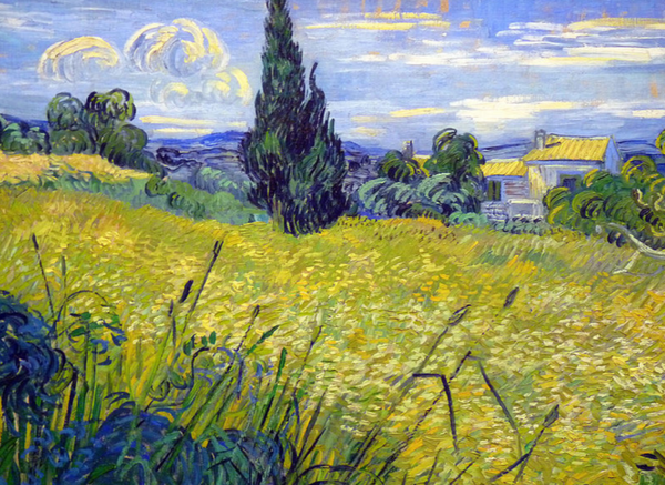 Green Field By Van Gogh