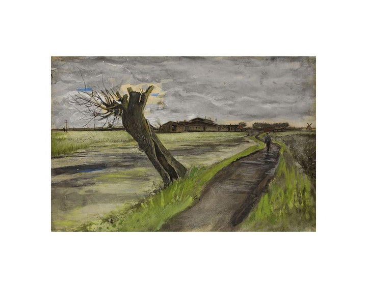 Pollard Willow By Van Gogh