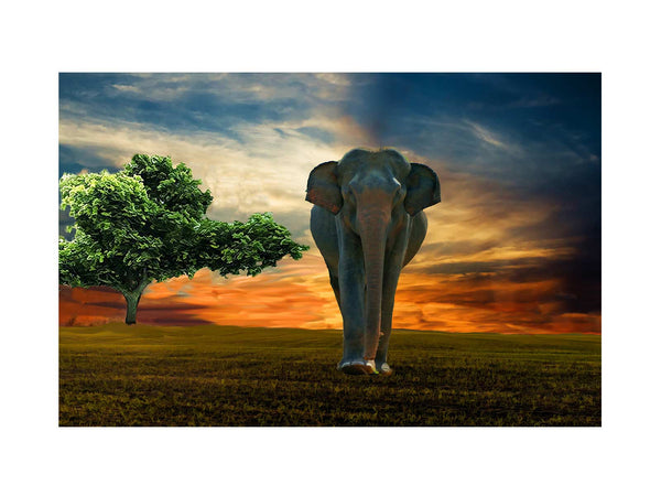 Elephant  & Tree Painting