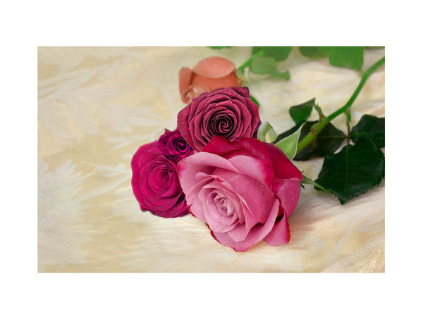 Roses With Leaf Painting