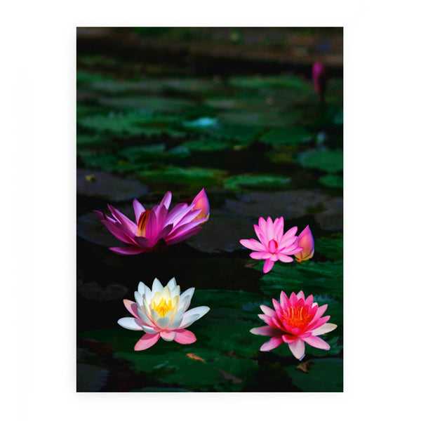 Pink Lily Flower Painting