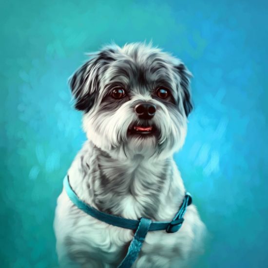 Pet Portrait Painting